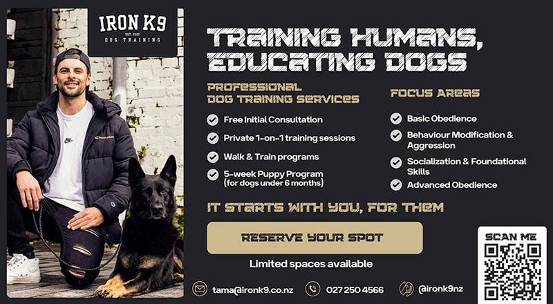Iron-K9-Dog-Training